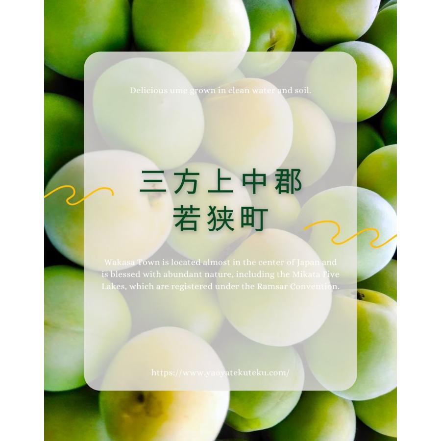 福井県産紅映梅 約3kg 梅干用 クール便 予約販売受付 6月下旬頃発送