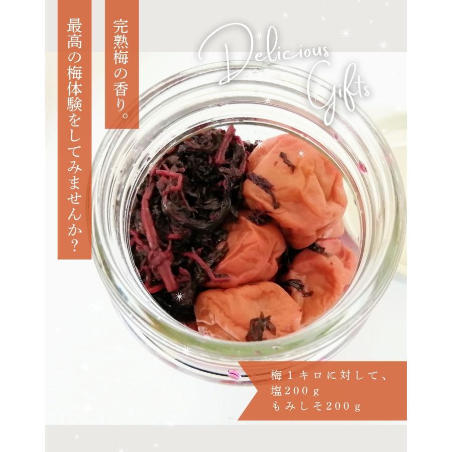 福井県産紅映梅 約3kg 梅干用 クール便 予約販売受付 6月下旬頃発送