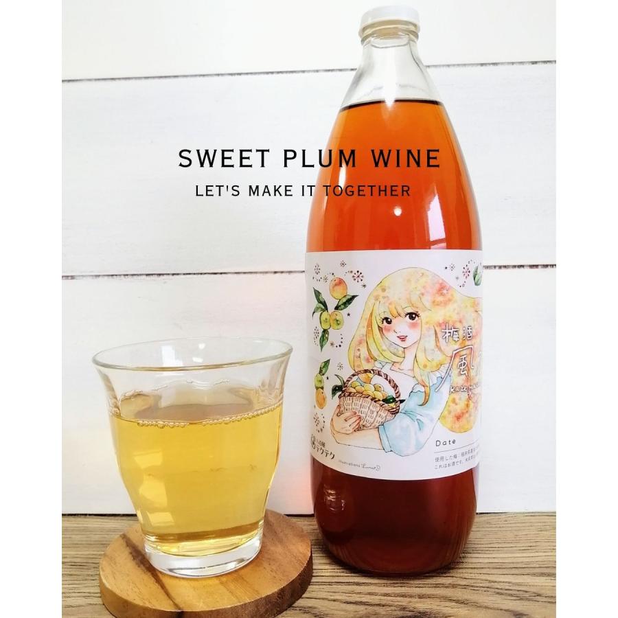 福井県産福太夫梅 完熟梅 約2kg 梅酒・梅シロップ用 クール便 予約販売受付 6月下旬頃発送 大きさおまかせ うめ 青梅 生梅 八百屋テクテクセレクション |  | 12