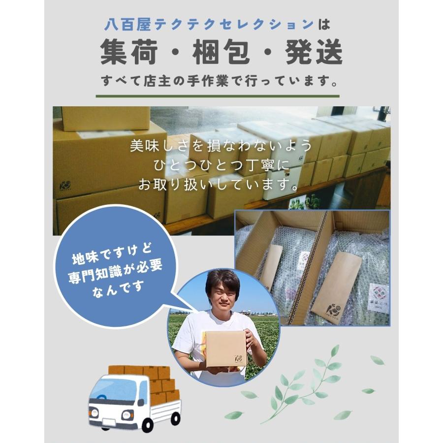 福井県産福太夫梅 完熟梅 約2kg 梅酒・梅シロップ用 クール便 予約販売受付 6月下旬頃発送 大きさおまかせ うめ 青梅 生梅 八百屋テクテクセレクション |  | 19