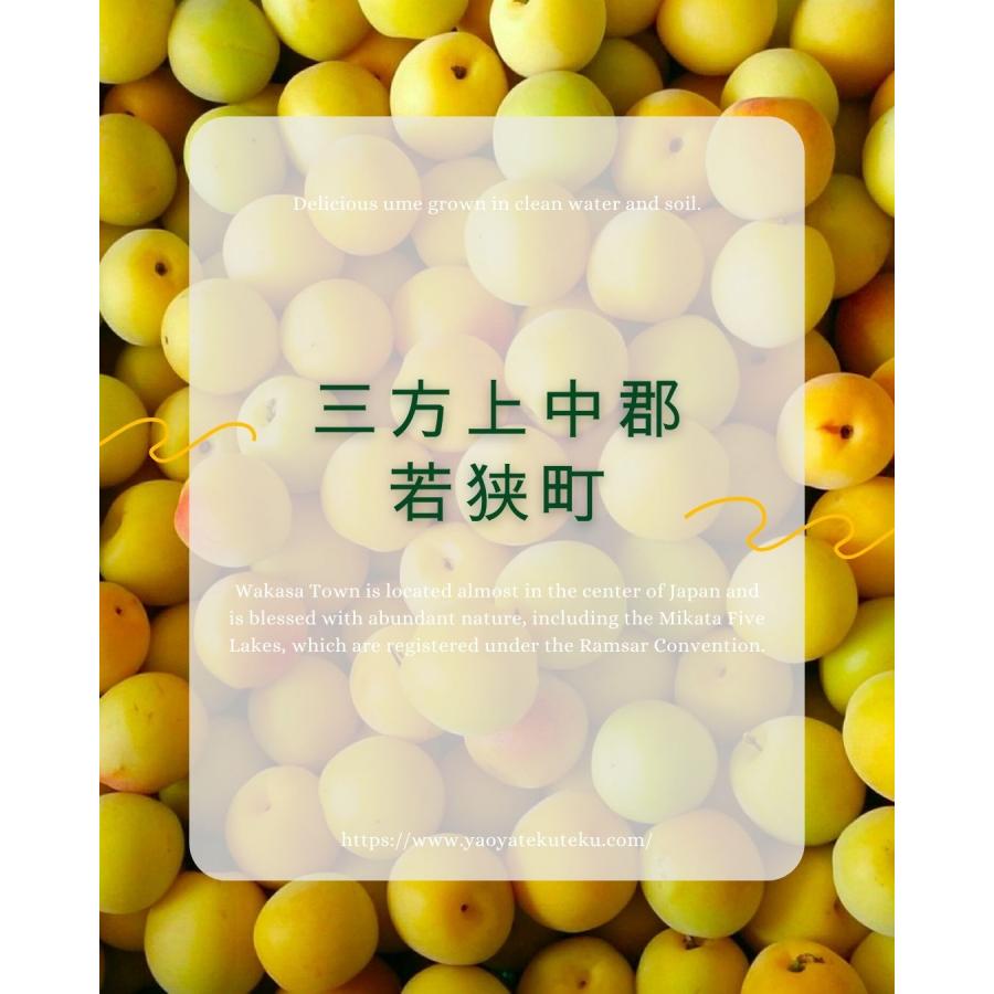福井県産福太夫梅 完熟梅 約2kg 梅酒・梅シロップ用 クール便 予約販売受付 6月下旬頃発送 大きさおまかせ うめ 青梅 生梅 八百屋テクテクセレクション |  | 02
