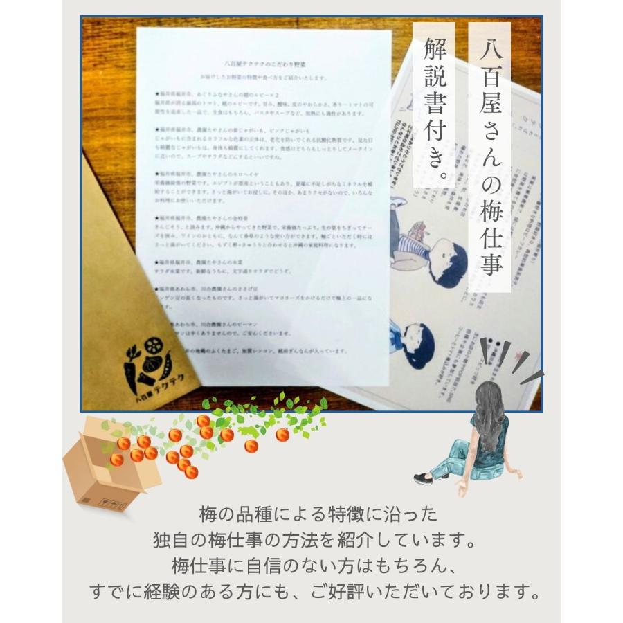 福井県産福太夫梅 完熟梅 約2kg 梅酒・梅シロップ用 クール便 予約販売受付 6月下旬頃発送 大きさおまかせ うめ 青梅 生梅 八百屋テクテクセレクション |  | 06