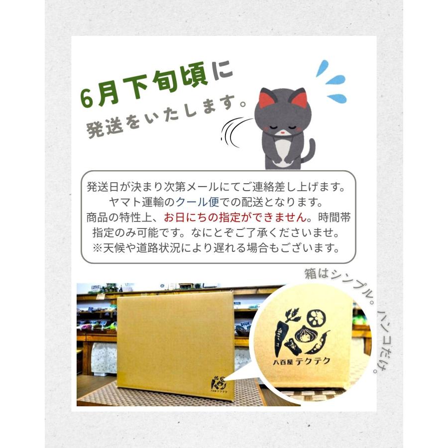福井県産福太夫梅 完熟梅 約2kg 梅酒・梅シロップ用 クール便 予約販売受付 6月下旬頃発送 大きさおまかせ うめ 青梅 生梅 八百屋テクテクセレクション |  | 09