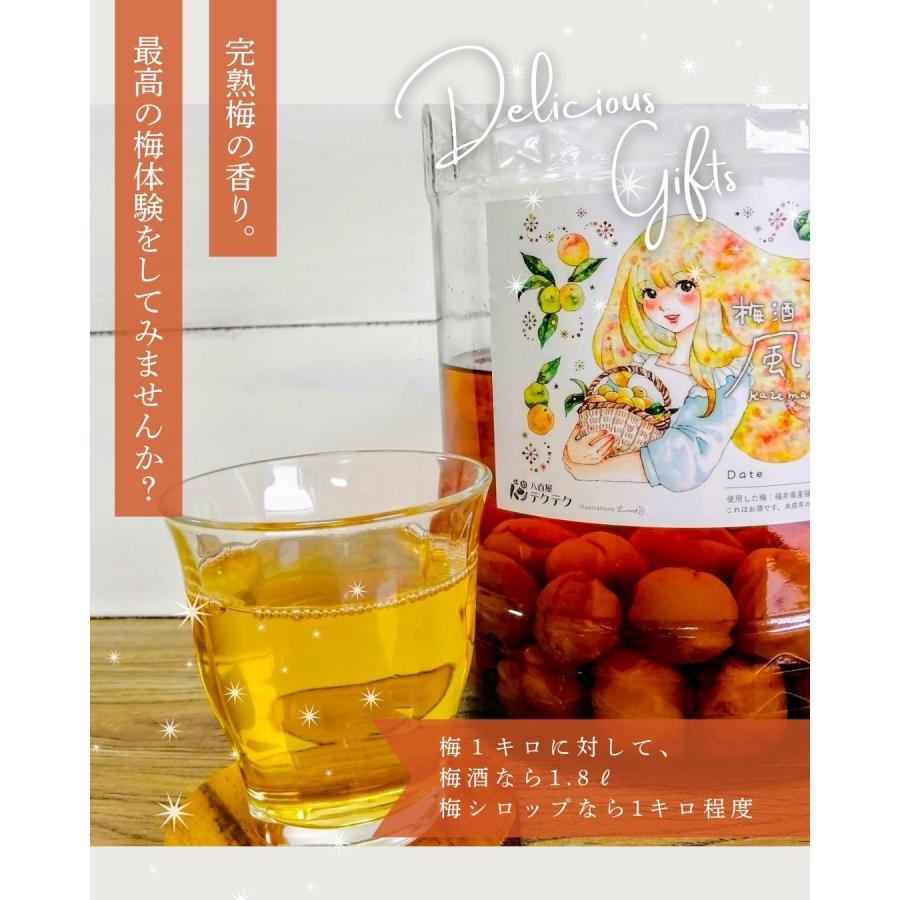 福井県産福太夫梅 完熟梅 約3kg 梅酒・梅シロップ用 クール便 予 約