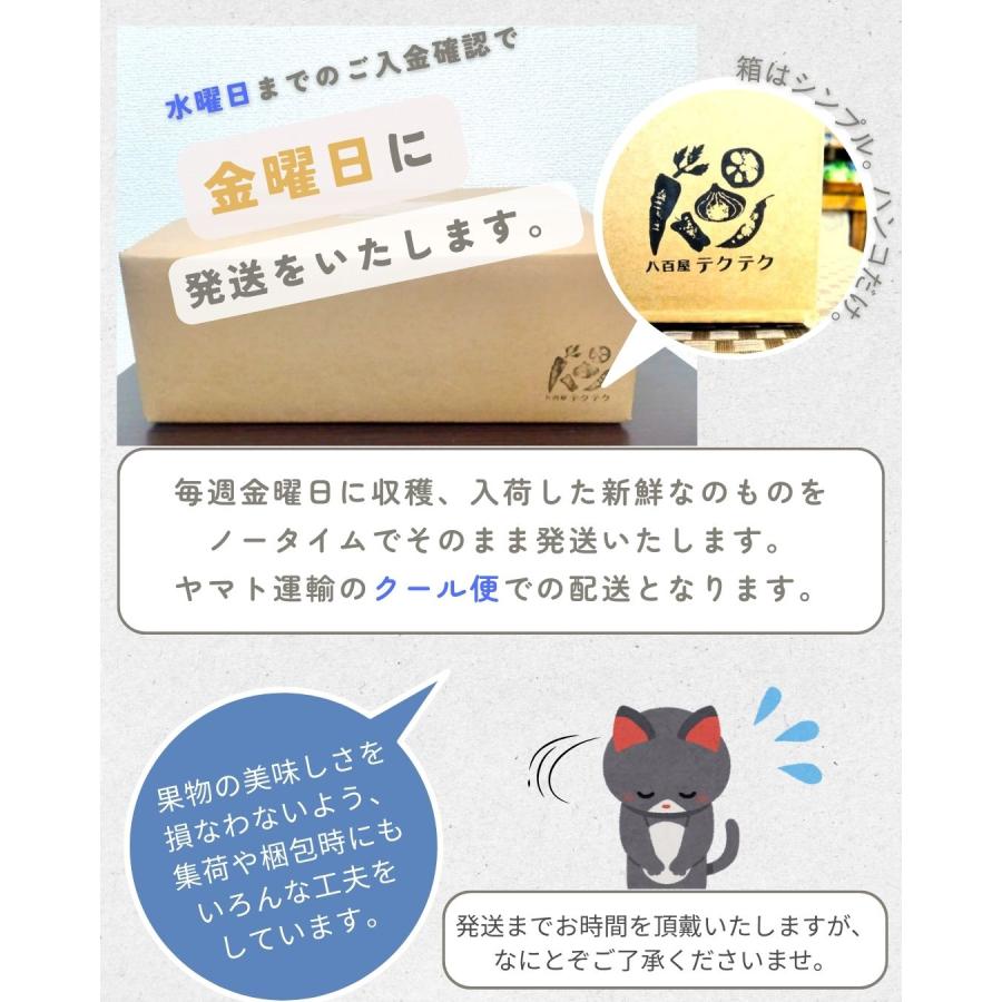 熊本県産いちご デラックスサイズ 2パック クール便 八百屋テクテクセレクション |  | 10