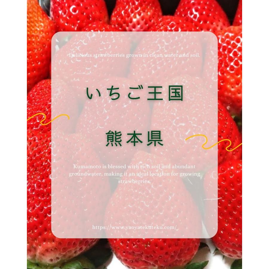 熊本県産いちご デラックスサイズ 2パック クール便 八百屋テクテクセレクション |  | 02