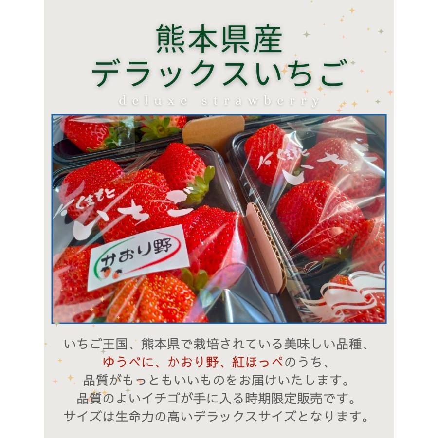 熊本県産いちご デラックスサイズ 2パック クール便 八百屋テクテクセレクション |  | 03