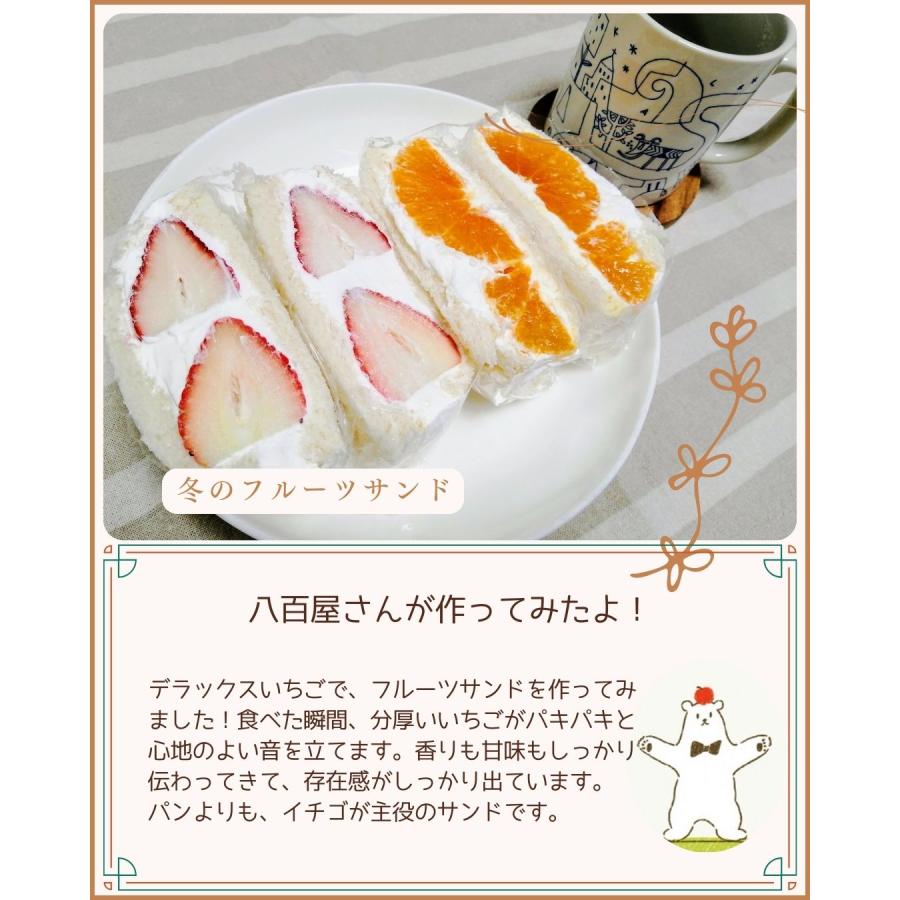 熊本県産いちご デラックスサイズ 2パック クール便 八百屋テクテクセレクション |  | 07