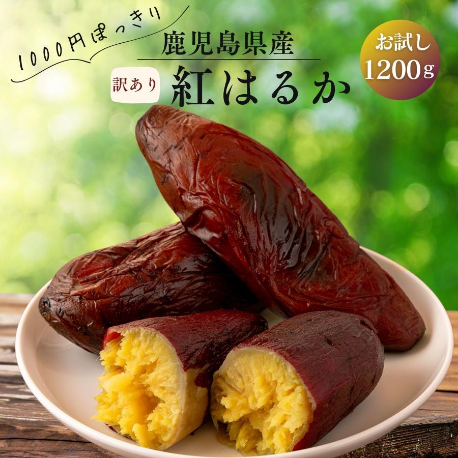 さつまいも 訳あり 紅はるか 1200g さつま芋 サツマイモ 本場鹿児島（Yahoo!・九州八百萬商店）