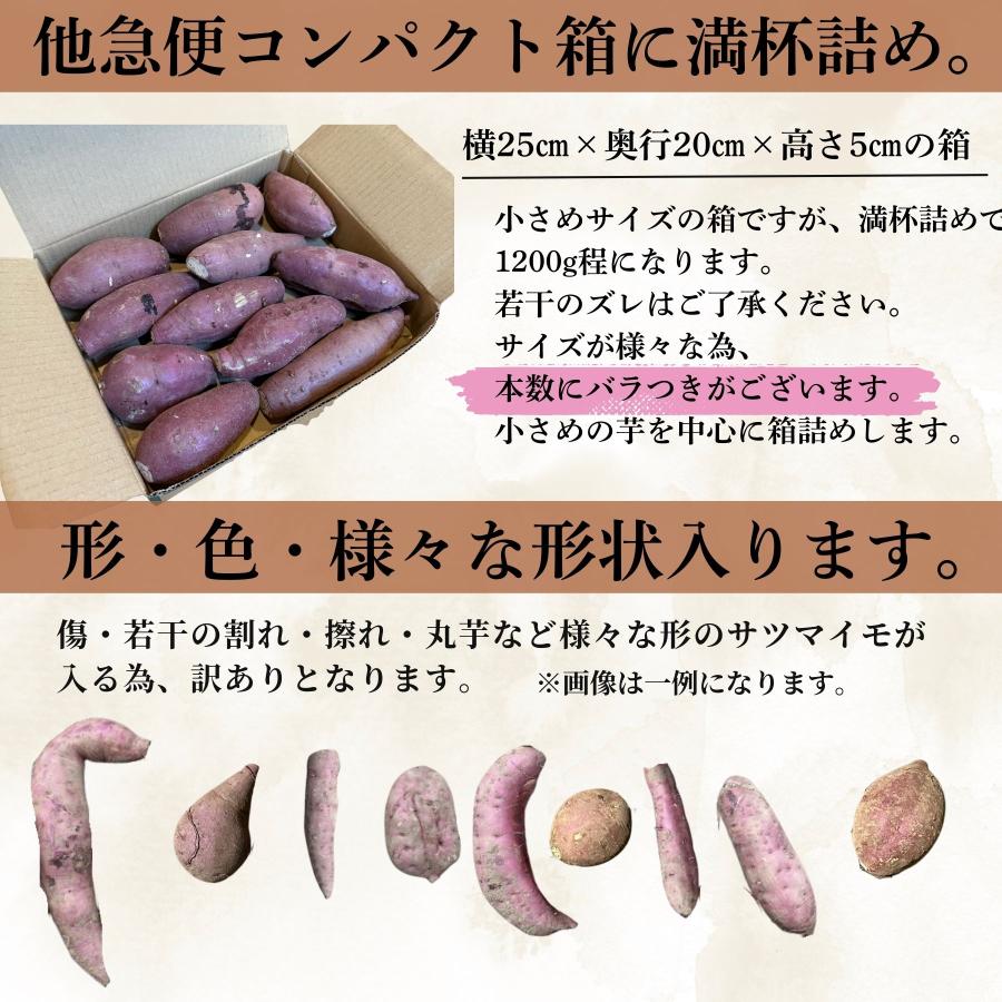 さつまいも 訳あり 紅はるか 1200g さつま芋 サツマイモ 本場鹿児島