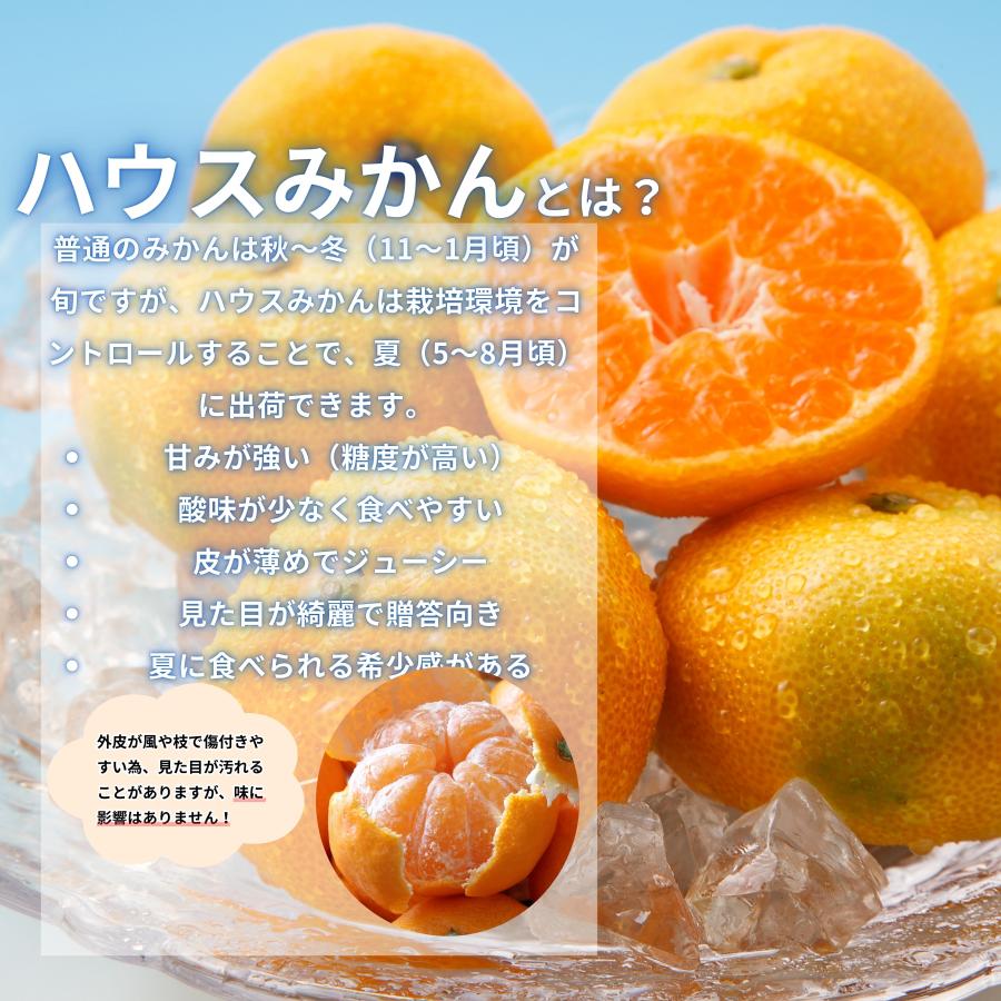 6月下旬〜順次発送】訳あり ハウスみかん 10kg 冷やして美味しい 