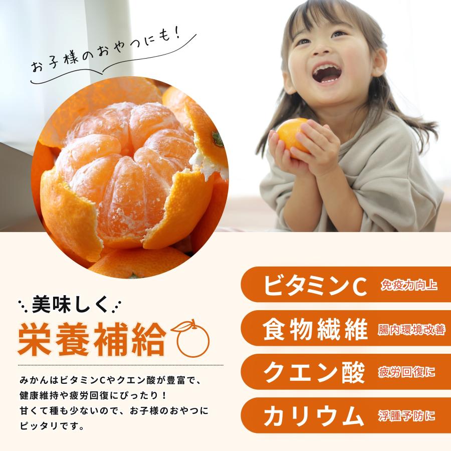 夏だけの贅沢☆九州産 訳あり ハウス みかん 10kg120 6月下旬〜順次発送】訳あり ハウスみかん 10kg 冷やして美味しい