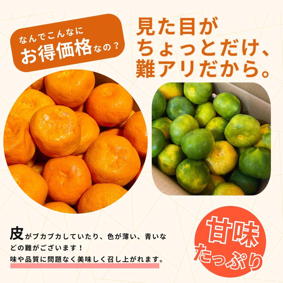 夏だけの贅沢☆九州産 訳あり ハウス みかん 10kg300 夏だけの贅沢☆九州産 訳あり ハウス みかん 10kg63