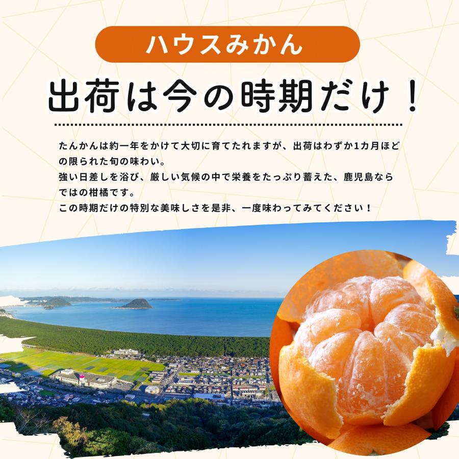 6月下旬〜順次発送】訳あり ハウスみかん 10kg 冷やして美味しい 