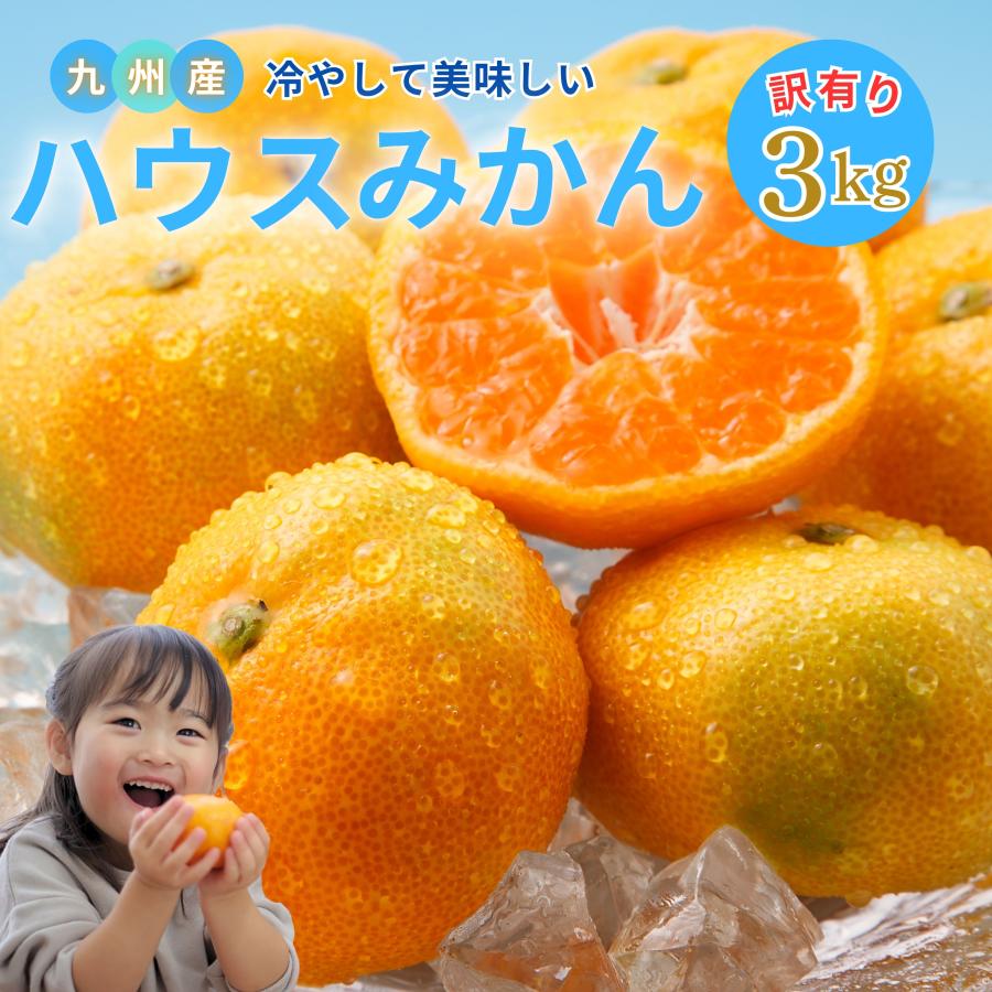 2026年7月】文旦（みかん、柑橘類）（種類：文旦）のおすすめ人気