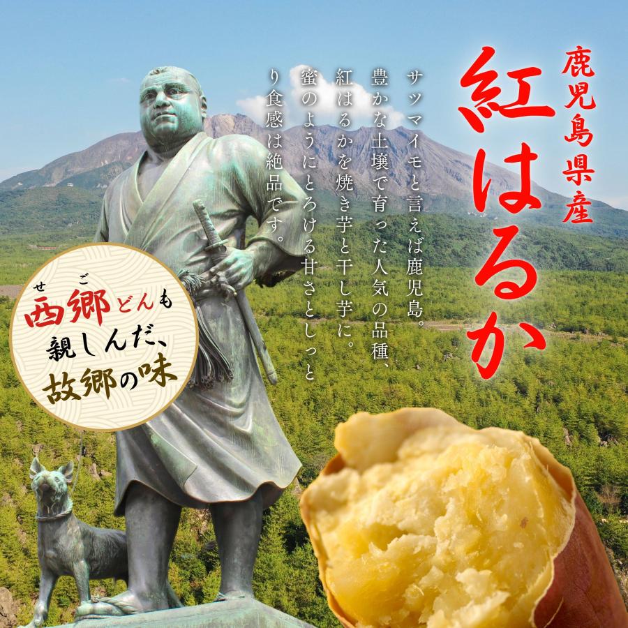 干し芋 訳あり 500g1袋 焼き芋500g1袋 セット【計1kg】【注文殺到