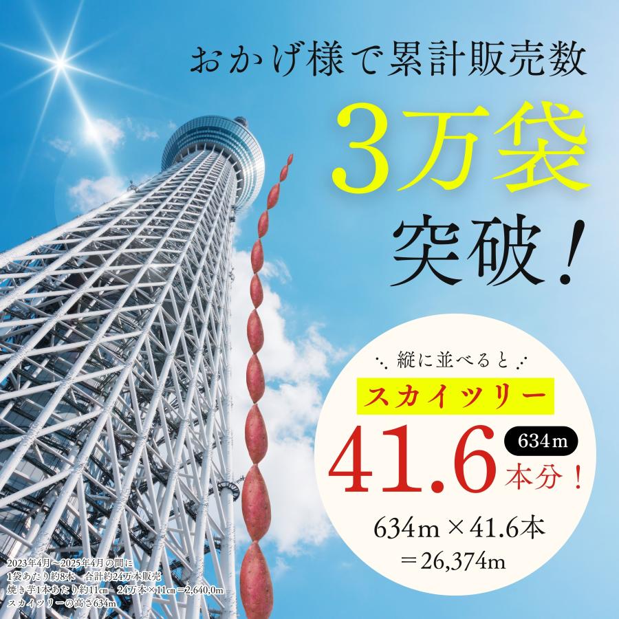 干し芋 訳あり 250g2袋 焼き芋500g1袋 セット【計1kg】 国産 無添加 さつまいも 送料無料 干しいも |  | 06