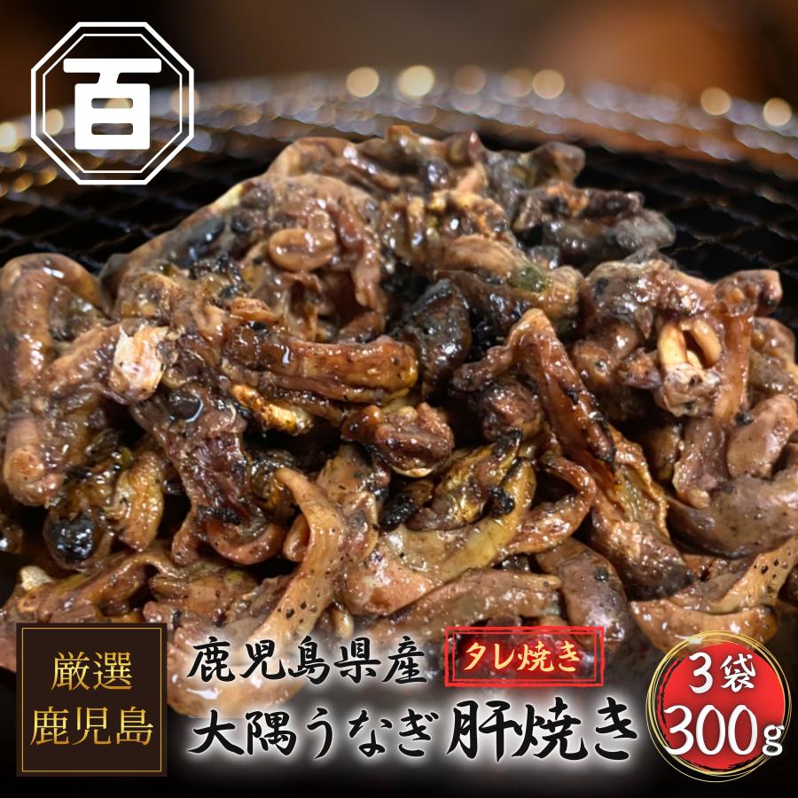 絶品 珍味【大隅うなぎ】肝焼き 100g×3 おつまみ 鰻蒲焼 スルメ好きに | 