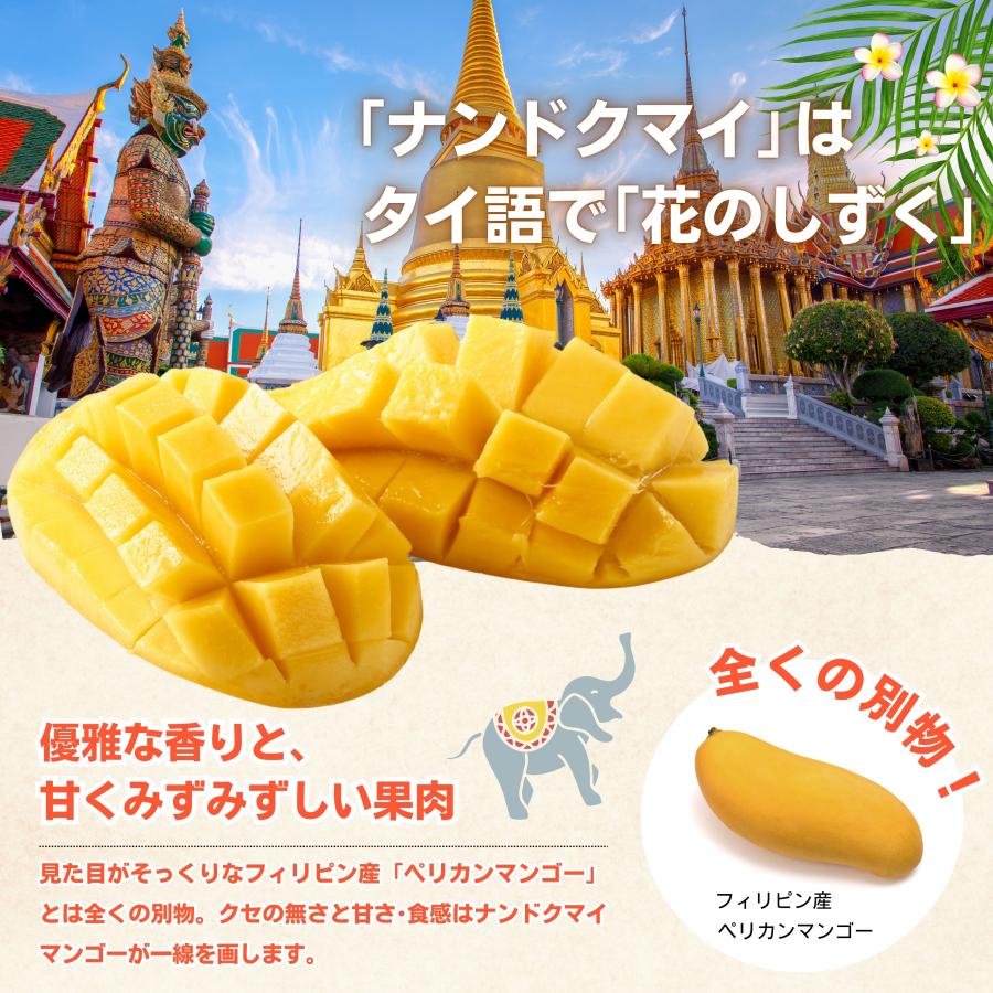 567.数量限定タイ産フレッシュ　ナムドクマイマンゴー金芒12〜18玉入り マンゴー タイ産 ナンドクマイ 約1.8kg 5〜8玉入り 送料無料