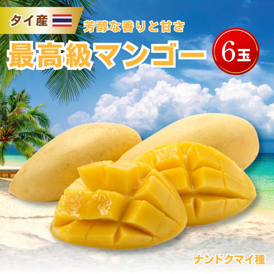 最高級 マンゴー 6玉／4月から食べれる！タイ産 ナンドクマイ