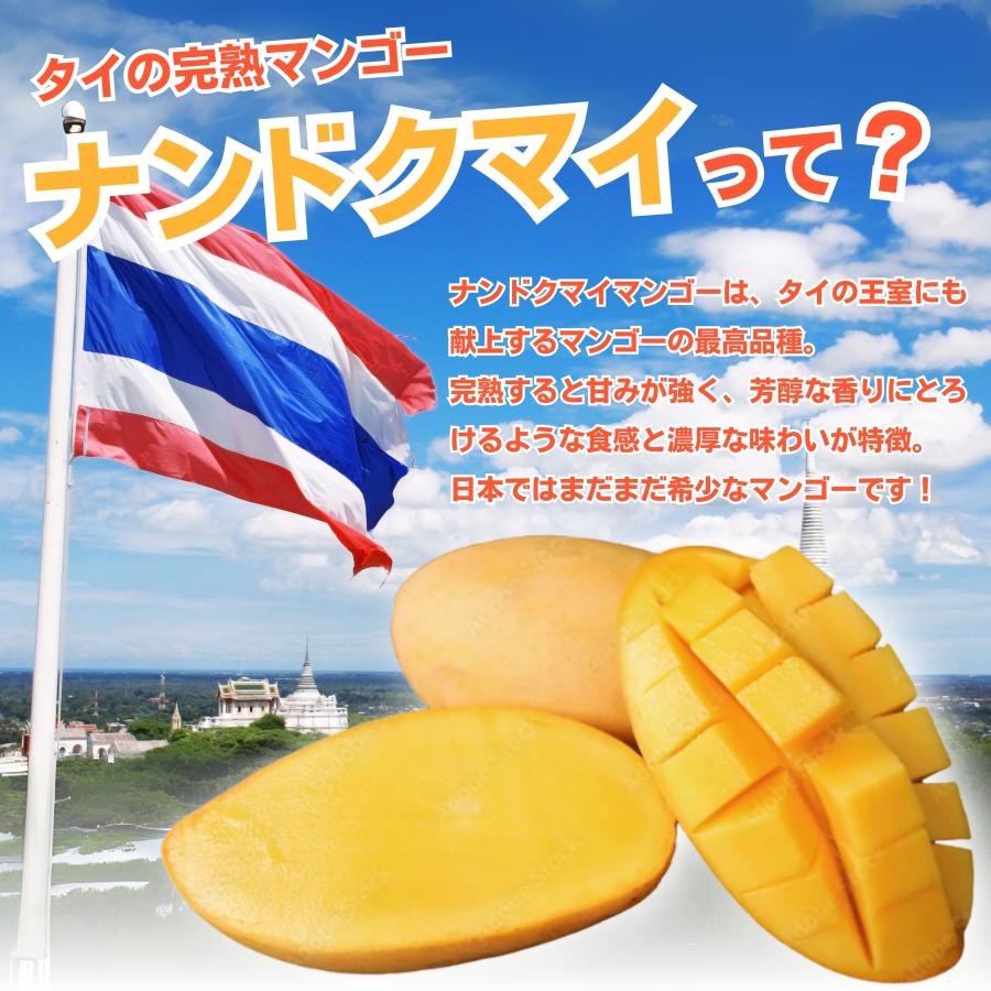 最高級 マンゴー 6玉／4月から食べれる！タイ産 ナンドクマイ