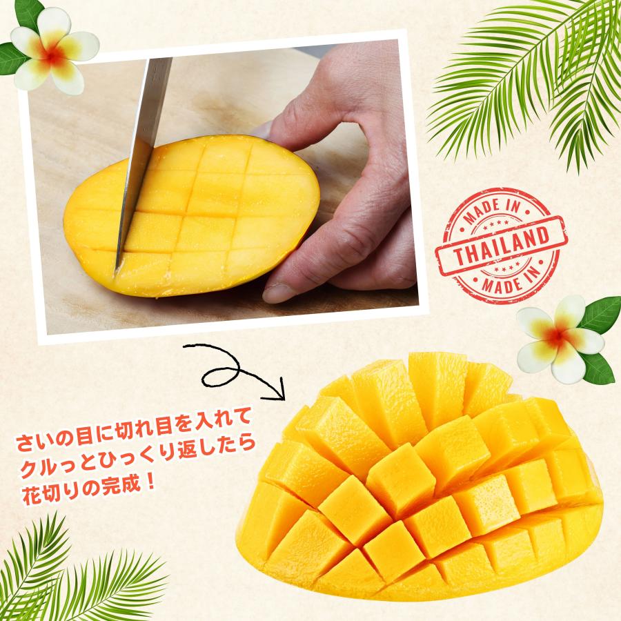 最高級 マンゴー 6玉／4月から食べれる！タイ産 ナンドクマイ