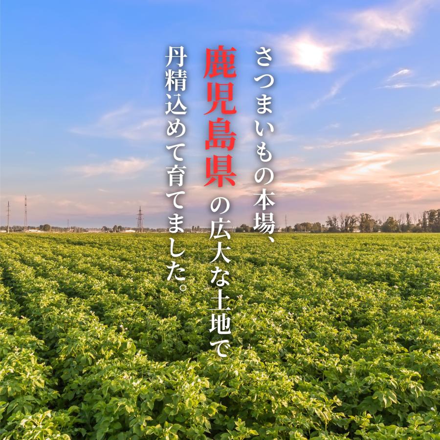さつまいも マロンゴールド 美味しさ最高峰◎とろとろ熟成芋◎秀 さつまいも マロンゴールド 美味しさ最高峰◎とろとろ熟成芋◎秀