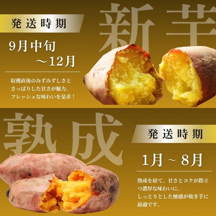 さつまいも マロンゴールド 美味しさ最高峰◎とろとろ熟成芋◎秀 さつまいも マロンゴールド 美味しさ最高峰◎とろとろ熟成芋◎秀