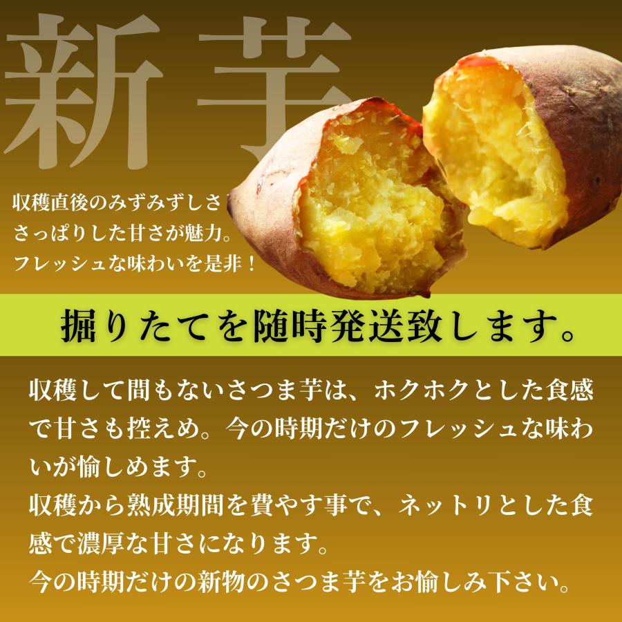 さつまいも 紅はるか【2026年新物】鹿児島県産 5kg 新芋のフレッシュな