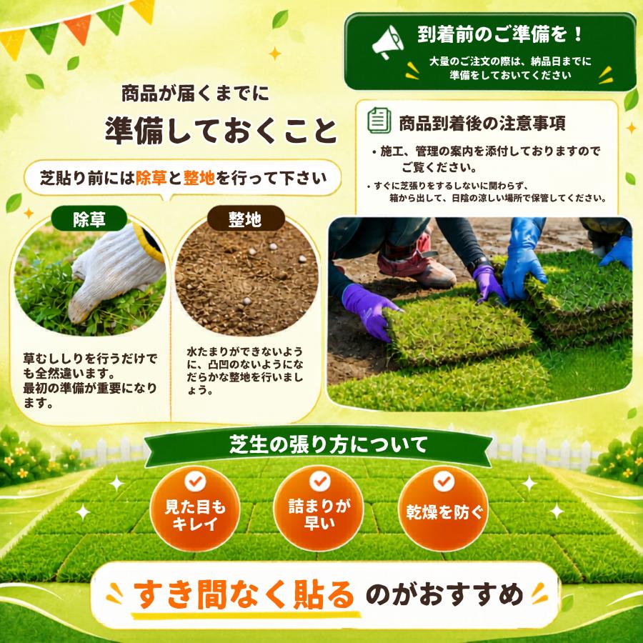 芝生 天然芝 ＼プロ御用達！／高麗芝 3平米 ゴルフ場・公園等の芝生 