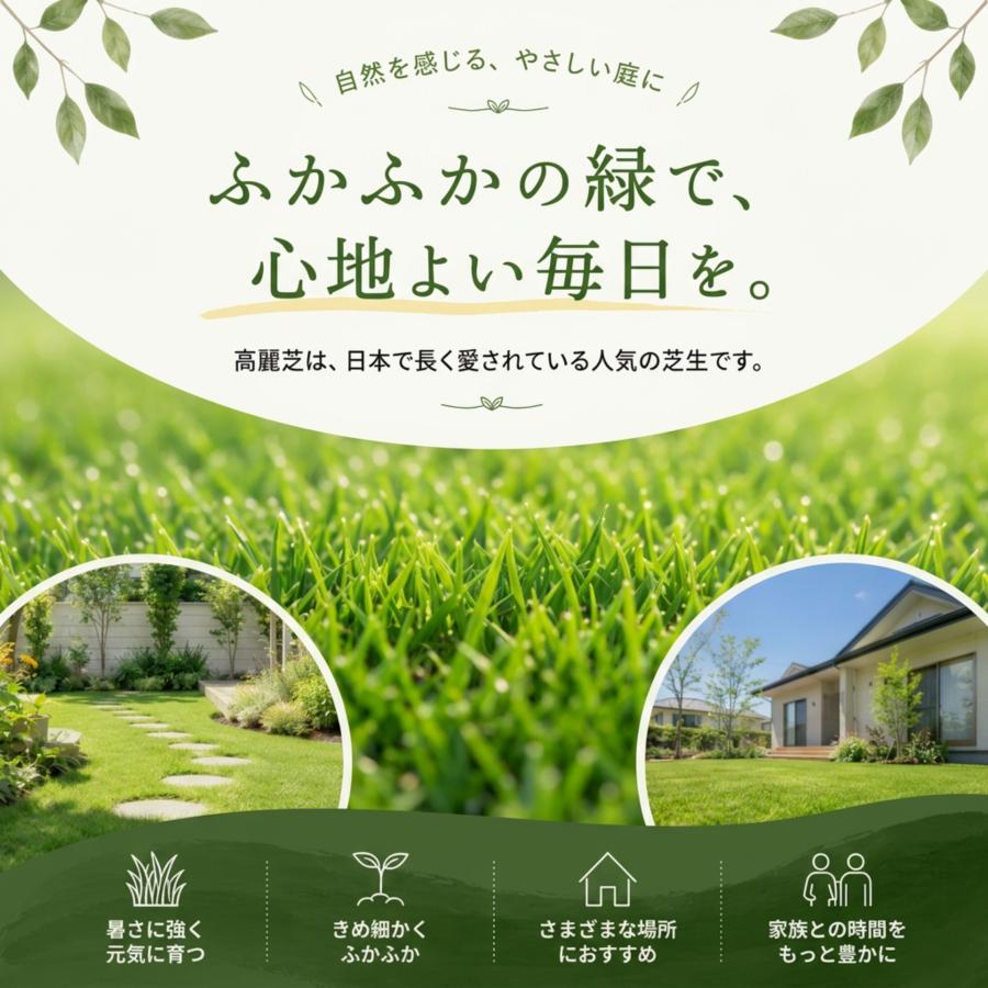 芝生 天然芝 ＼プロ御用達！／高麗芝 3平米 ゴルフ場・公園等の芝生