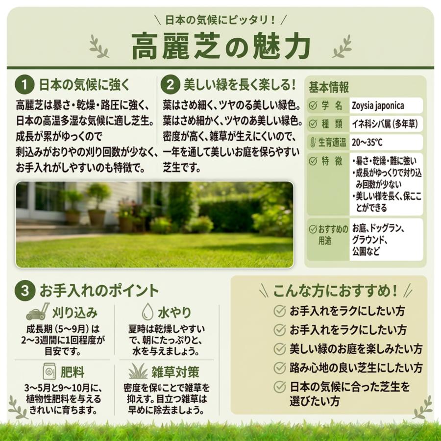 芝生 天然芝 ＼プロ御用達！／高麗芝 3平米 ゴルフ場・公園等の芝生