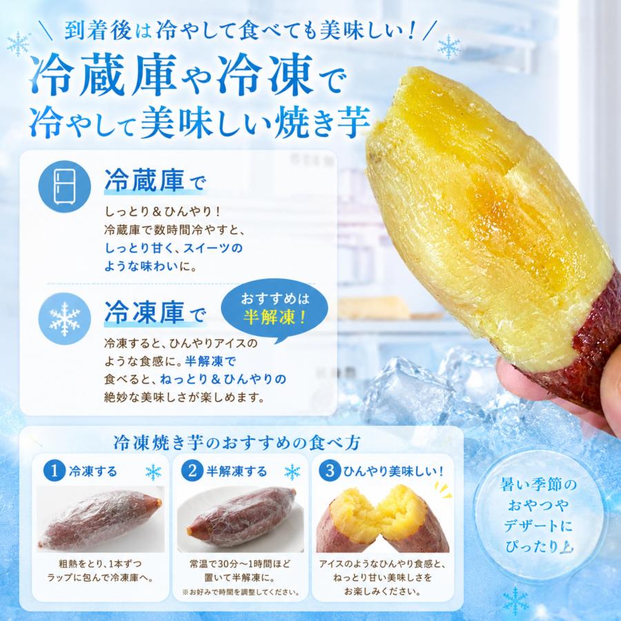干し芋好きにも◎ 焼き芋 500g 【お試し】冷やしても美味しい◎鹿児島 