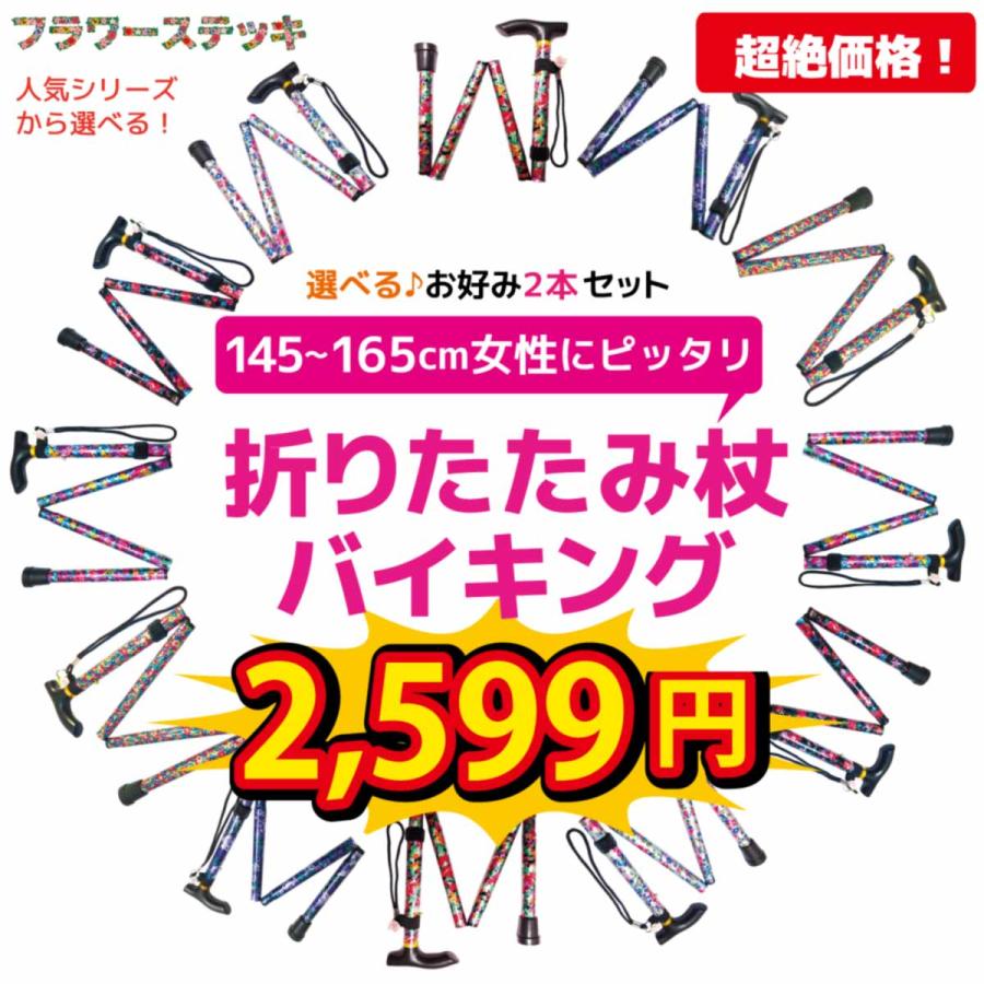 身長145 165cmの女性向け 5種類から選べる 軽量折りたたみ杖 バイキング ２