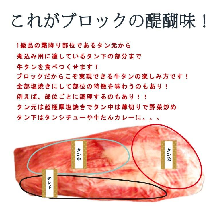 牛タン ブロック 牛たん 仙台 3kg 大容量 たっぷり 送料無料 (タン先あり) キャンプ 焼肉 自宅 | ブランド登録なし | 02