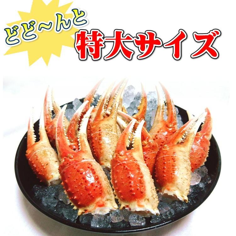 特大 5L ズワイガニ 爪 1kg ずわい蟹 カニ ずわい お正月 ズワイ