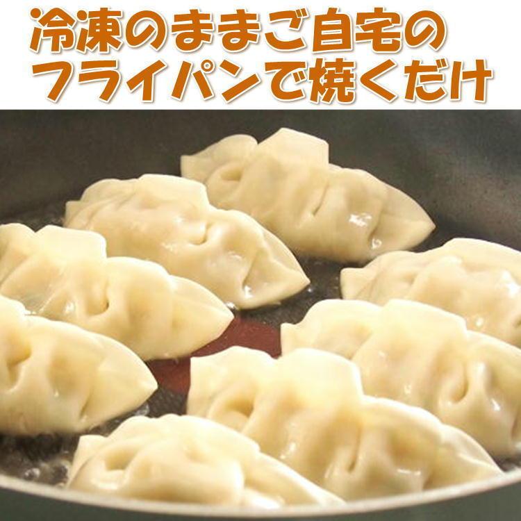 仙台あおば餃子(20g×100個) 小松菜 肉餃子 冷凍 ぎょうざ ギョウザ お惣菜 手作り 家庭 自宅 焼き餃子 惣菜 点心 お取り寄せ グルメ タレなし｜yappari｜05