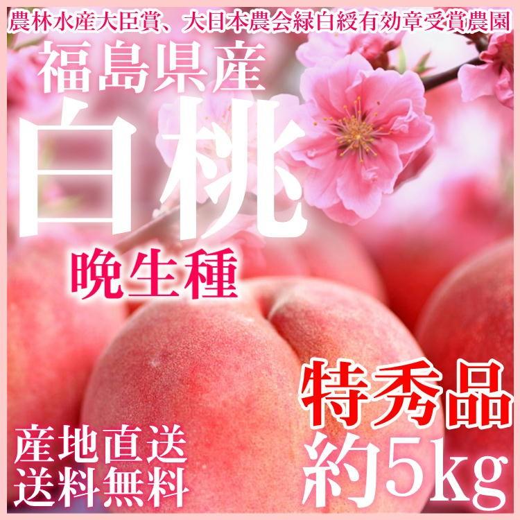 硬桃ゆうぞら　5kgクール便発送 福島県 桃 約5kg(15〜20玉入り) 特秀品 川中島 ゆうぞら あぶくま