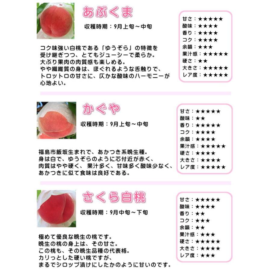 福島県 桃 約5kg(15〜20玉入り) 特秀品 川中島 ゆうぞら あぶくま