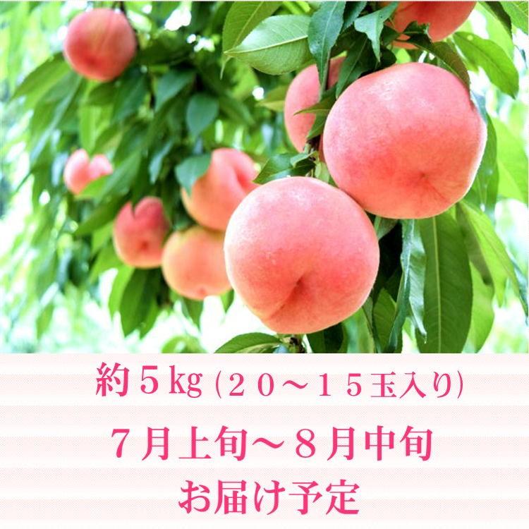 福島県 桃 約5kg(15〜20玉入り) 特秀品 はつひめ 暁星 あかつき まどか