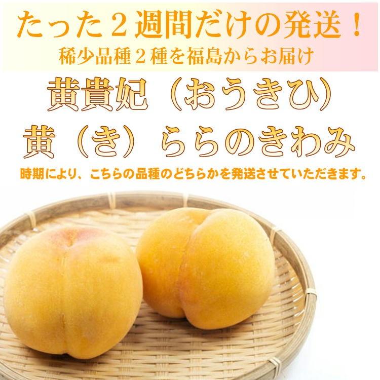 福島県 黄桃 約2kg(6〜8玉入り) 黄貴妃(おうきひ) 黄(き)ららの
