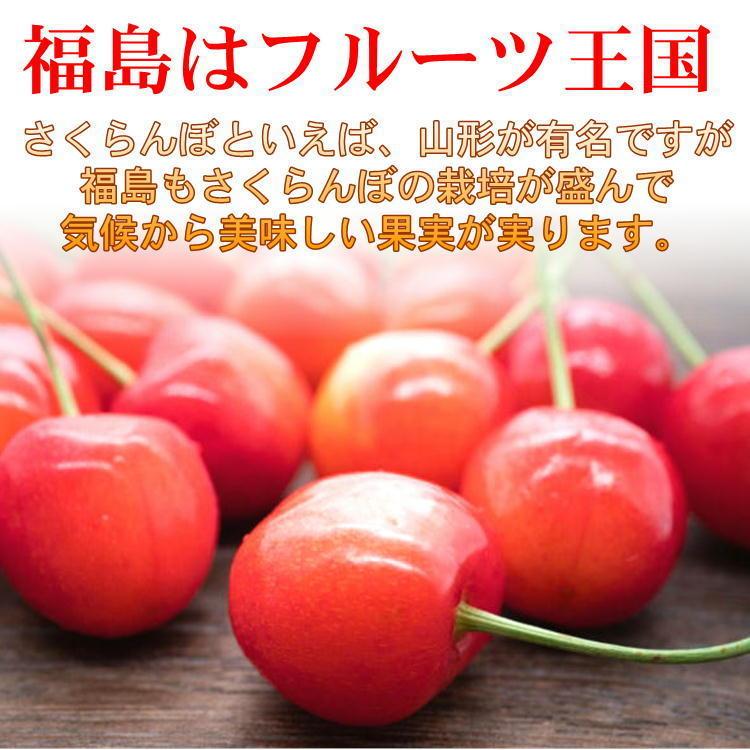 福島県産 佐藤錦 1kg Lサイズ さくらんぼ バラ詰め 贈答用 家庭用