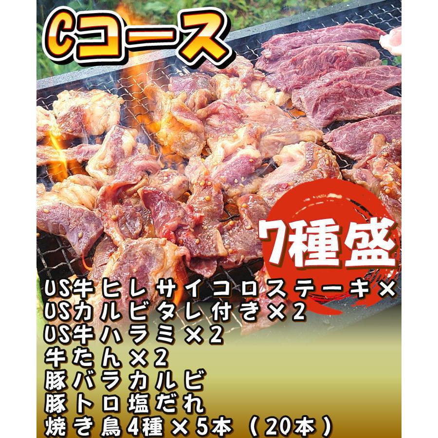 肉盛！爆盛りCコース！総量3.6kg 約12人前 (US牛ヒレサイコロステーキ,USカルビ,US牛ハラミ,牛たん,豚バラカルビ,豚トロ塩だれ,焼き鳥4種×5本(20本))BBQ｜yappari｜16