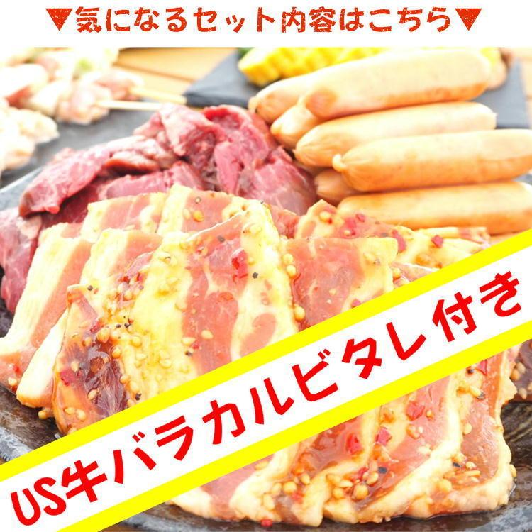 肉盛!大盛りAコース!総重量1.2kg 約4人前 (US牛バラカルビ,豚バラカルビ,豚トロ塩だれ,豚ホルモン塩) バーべーキュー 焼肉 業務用 送料無料|yappari|02