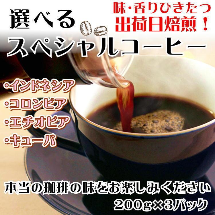 仙臺 珈琲店 コーヒー 豆 選べる 3種 ギフトセット 600g(200g×3※生豆時