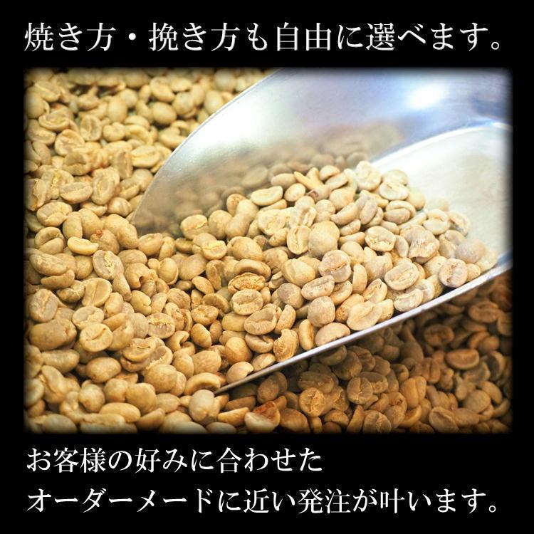 仙臺 珈琲店 コーヒー 豆 選べる 3種 ギフトセット 600g(200g×3※生豆時