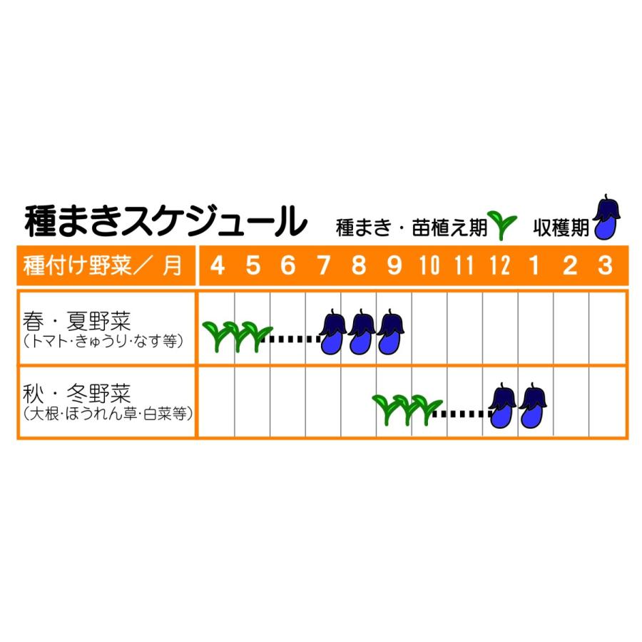 耕運機 充電式  軽量 ハイパワー「24Ｖコードレス耕運機」家庭用 伸縮可 サブハンドル付き 車載可 家庭菜園  YARDFORCE ヤードフォース（LEC20-JP-B）｜yardforce-official｜13