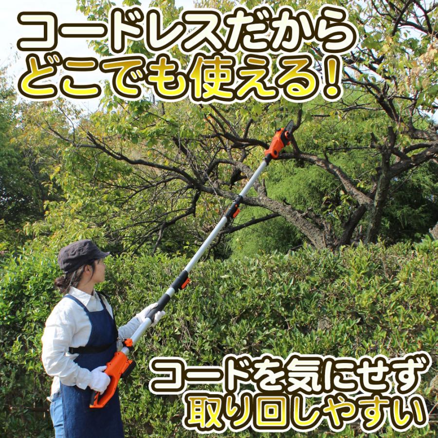 YARD FORCE 高枝切り電動チェーンソー コードレス 充電式「24V YARD FORCE 高枝切り電動チェーンソー コードレス 充電式「24V