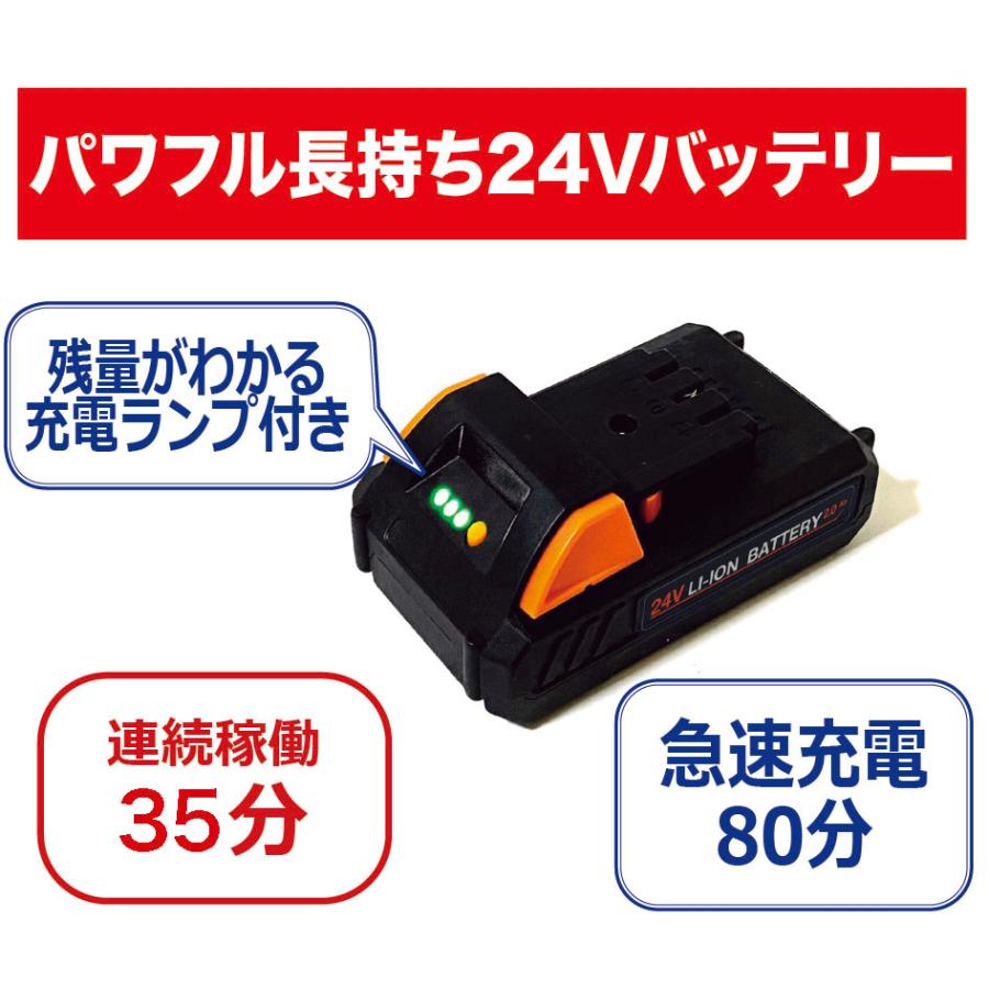 高枝電動のこぎり 3ｍ 「24Ｖコードレス3m高枝のこぎりライト予備バッテリー付き」 YARDFORCE ヤードフォース LSC21P-JP_10