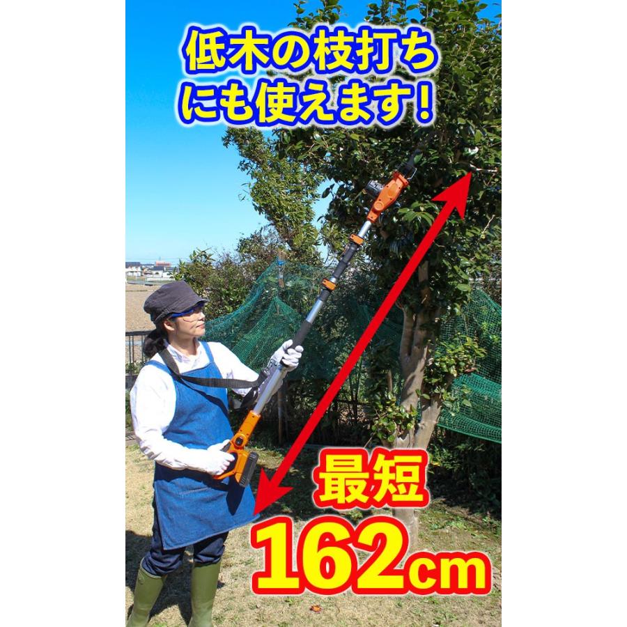 高枝電動のこぎり 充電式 軽量 3m「24Ｖコードレス3m高枝のこぎりライト」高枝切りのこぎり 高枝切りバサミ  家庭用 YARDFORCE ヤードフォース公式（LSC21P-JP）｜yardforce-official｜06